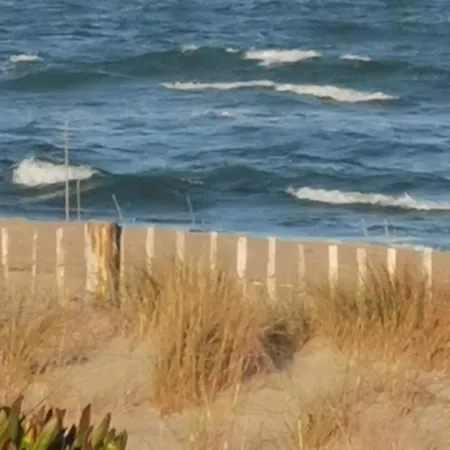 Naturiste